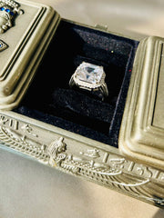 Dazzling Embrace: Asscher Cut Halo Ring